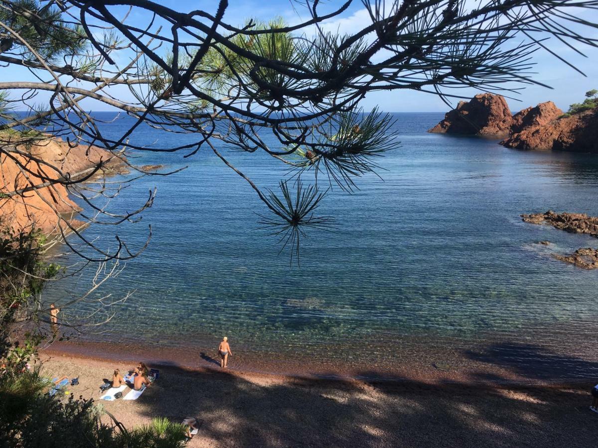 "Les Alizes" Cote Jardin Proche Bord De Mer Saint-Raphael (Var) Exterior foto