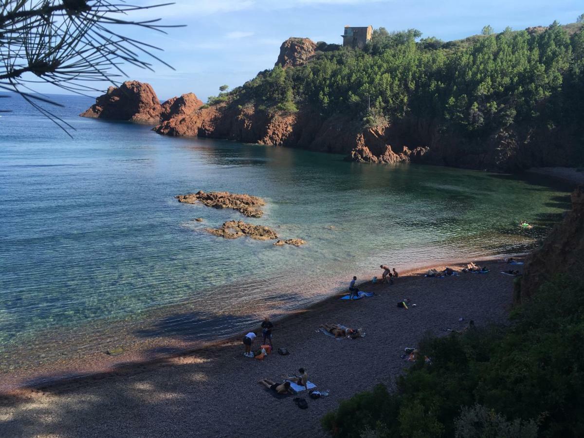 "Les Alizes" Cote Jardin Proche Bord De Mer Saint-Raphael (Var) Exterior foto